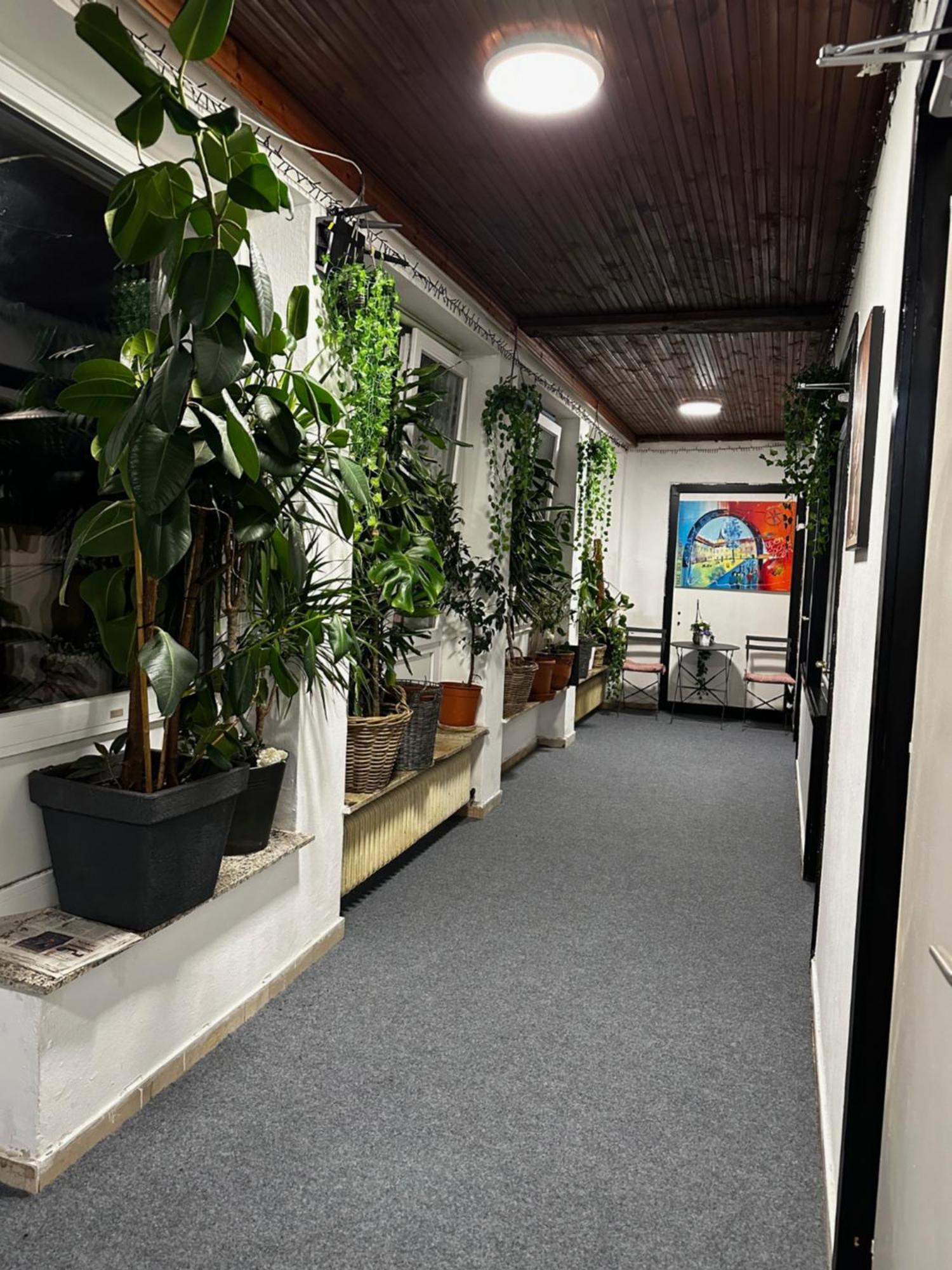 Hostel Lovely Rooms, City Center, Shared Bathroom, Windows To Corridor 빌라흐 외부 사진